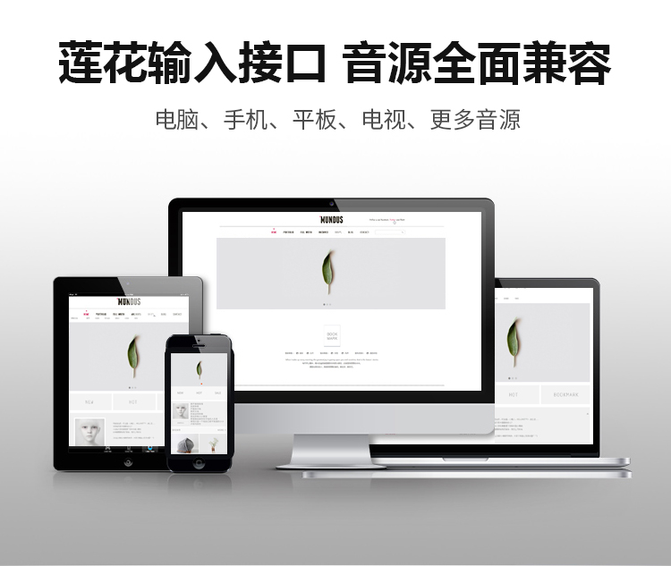 2.4G无线讲授音箱系列 2.4G无线讲授音箱系列